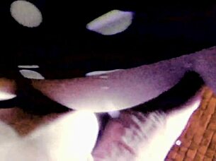 teen activist caught and fucked in the garage!