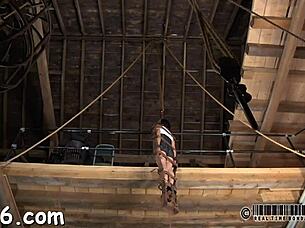 lovely babe released from cage for intense session