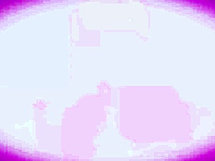 Friends Who Kiss Are The Best Company