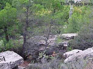 outdoor yoga with a stranger