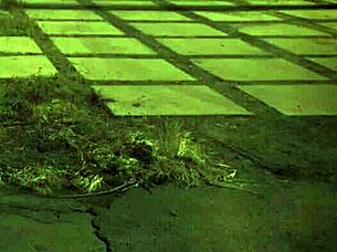 british rough anal and bdsm clinic, unless you're from the sixties and...