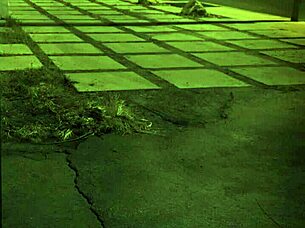 british rough anal and bdsm clinic, unless you're from the sixties and...