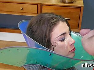 kinky kitten receives treatment in asylum