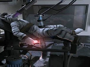 Horse Compilation Of Gay Fucking With Machines