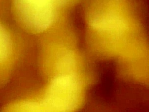 Latina prostitute services gay client