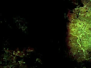 Vintage illustration with intriguing erotic elements