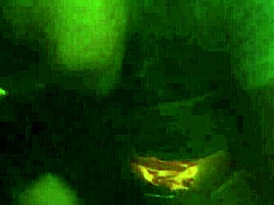 teen babe enjoys oral and doggystyle