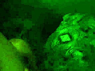 Young student experiences intimate missionary encounter in dorm