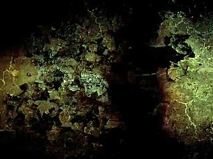 Erotic illustrations from the good old days