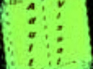 Dive into summertime saga episode 184 adventures