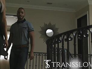 my transsexual friend convinces me to fuck her ass anal first time