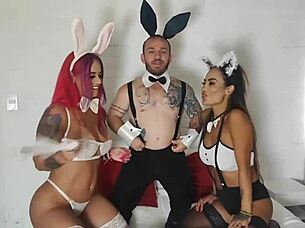 Two Bunnies Crave Carrot, Two Asses Beg for Dwarf's Attention