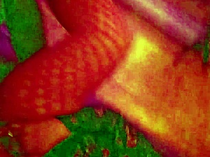 Angelg And Kuzz Halloween Special Part 2: Interracial Couple With Monster Cock