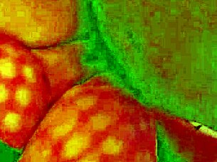 Angelg And Kuzz Halloween Special Part 2: Interracial Couple With Monster Cock