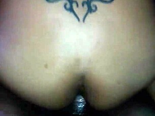 i'm fucking bibi hard, part two