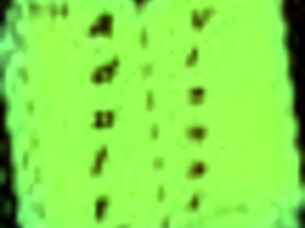 Summers Gone 14 Anime Hentai With Big Tits