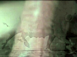 dark lantern presents beauty and the beast