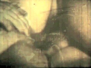 dark lantern presents beauty and the beast