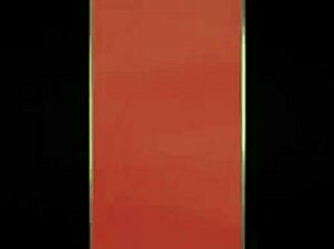 Black Tgirls One Year Later!