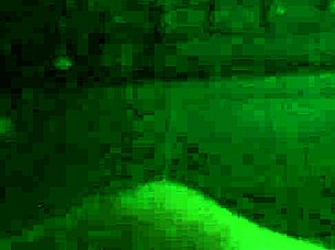 Solo Masturbation At Home