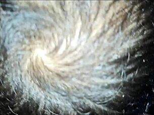 Seduced Trainer In Basement Anal?