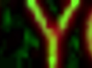 Chubby Amateur Wife Sucks Husband and Fucks in Missionary to Orgasm