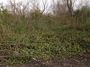 Petite Horny Teen 18+ Fucked In Public Park - Almost Caught - Outdoor Amateur Sex