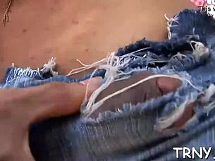 exploring ladyboy video collections