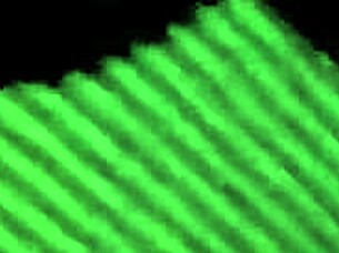 In this gay story, Cogidita experiences passionate encounters with his partner