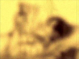 Vintage erotic drawing collection