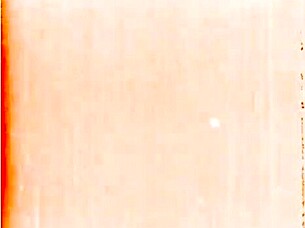 Vintage erotic drawing collection