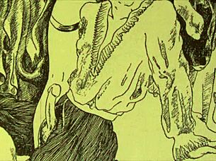 Vintage erotic drawing collection