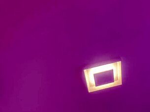 alineflavio shares their latest update