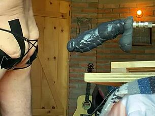 This gay sissy polar bear gets pounded hard