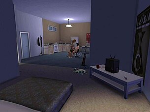 the invalid says, 'i want sex,' and the tattooed girl gives it to him.