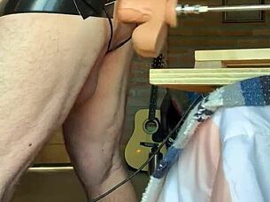 This gay sissy polar bear gets pounded hard