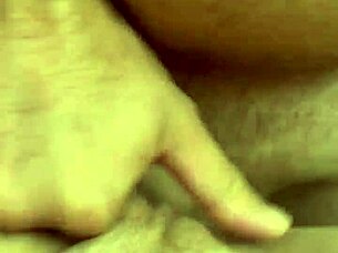 alineflavio update 151