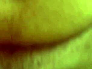 alineflavio update 151