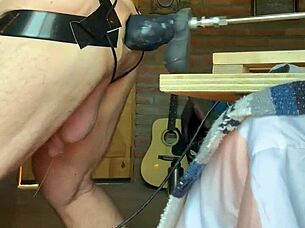 This gay sissy polar bear gets pounded hard