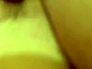 alineflavio update 151