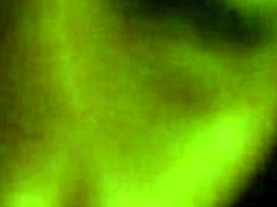 homemade scene where big tits babe deep throats massive cock ending in facial