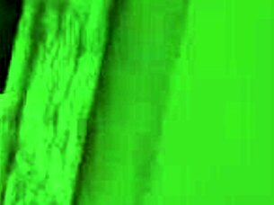 tomoe schweizer reveals nude in waifu academy