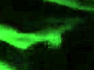 homemade scene where big tits babe deep throats massive cock ending in facial