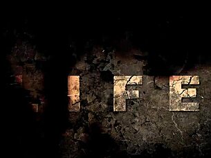 Discover vintage erotic illustrations from antique collections.