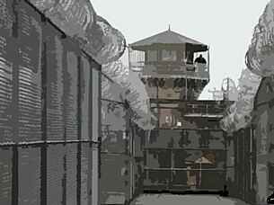 i used my big booty wife to calm prison riots