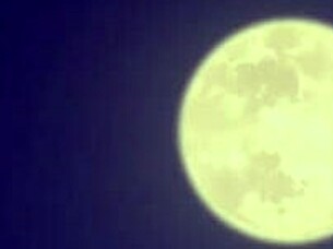 Koinaka - Koinaka De Hatsukoi X Nakadashi Sexual Life - Common Route Scene 1 Mai Kudou