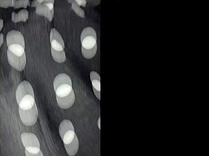 hey i banged my best friend's hot latina mom with her big ass 😈