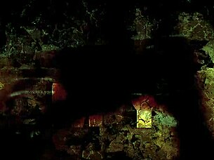 Watch this vintage erotic animation unfold