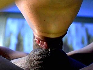 Wicked Of Whimsville Season 1 Episode 6 Celebrity Carmen Cumeth