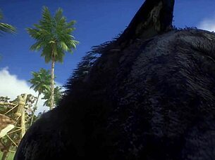 Pov two gay wolves fucking wildlife